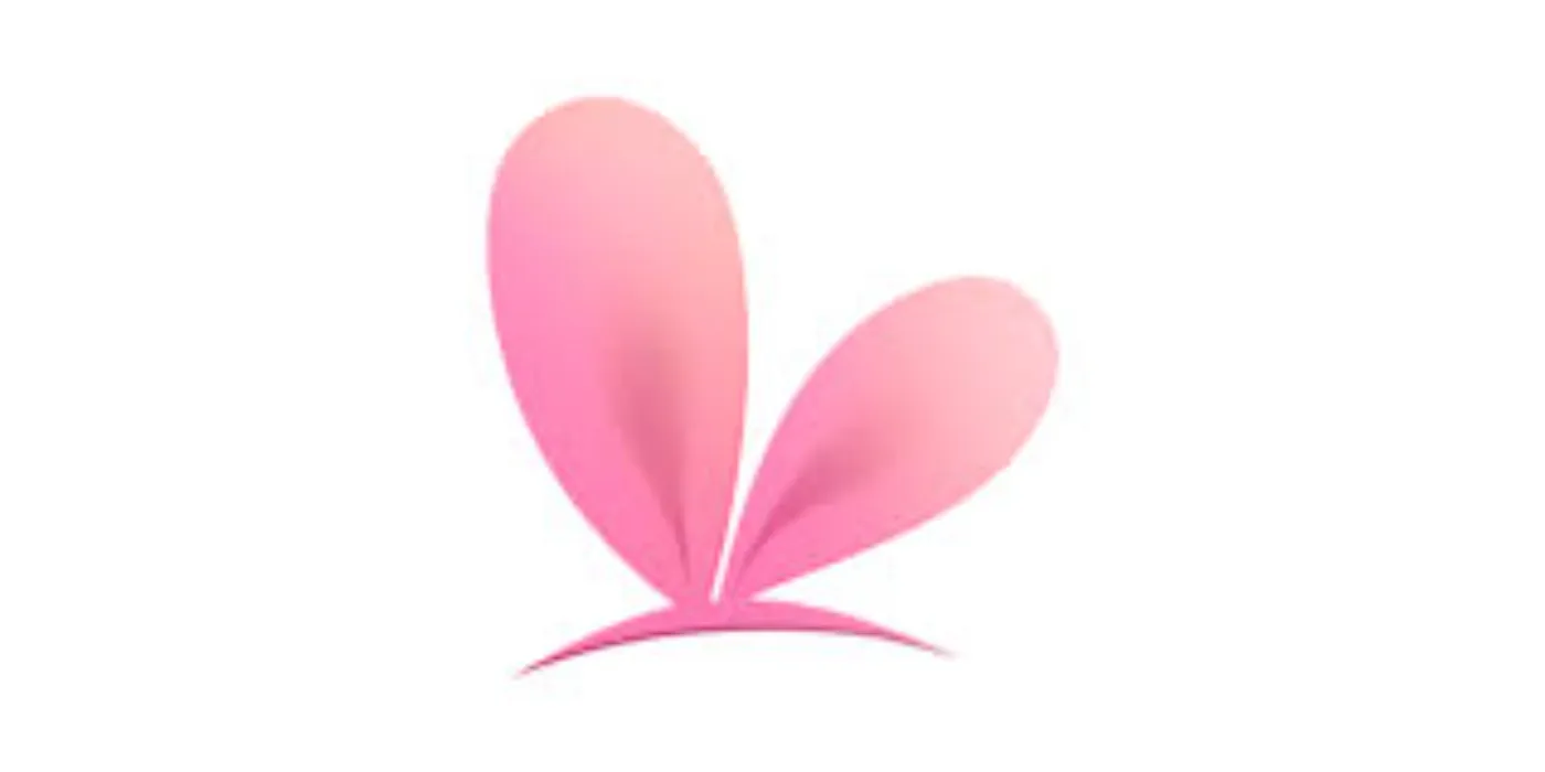 L2D VTuber Model Funds