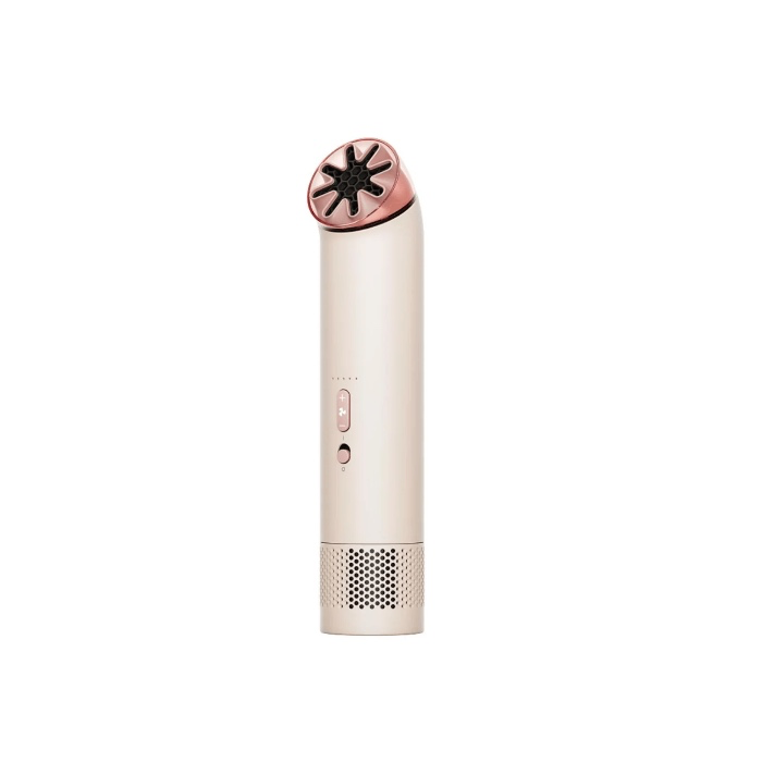 Dyson travel fan 
