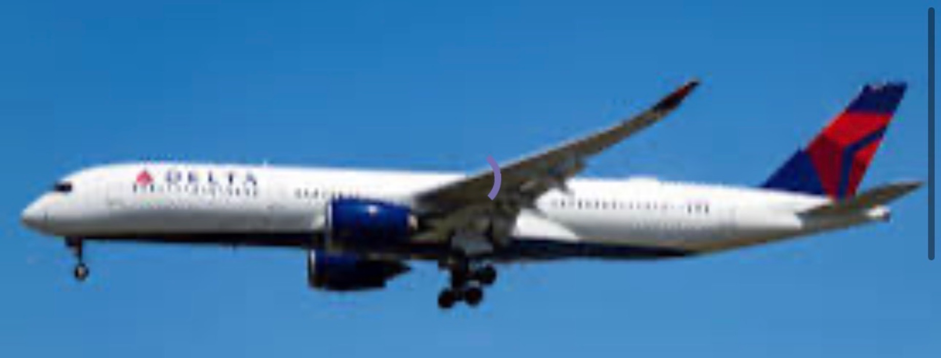 Flight for a trip 