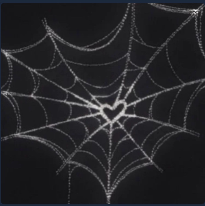 My Web🩸🕸️