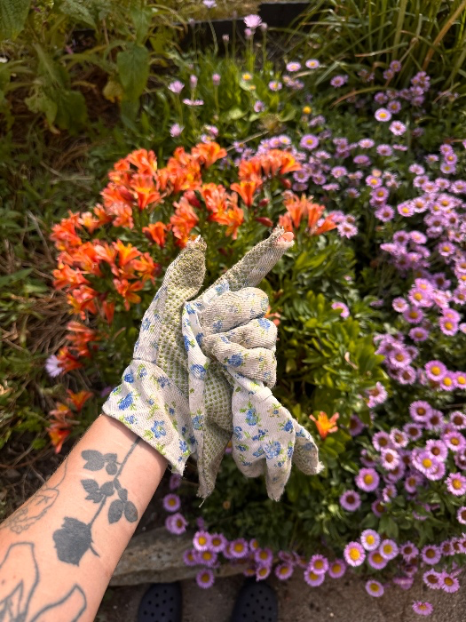 Sponsor a garden plant