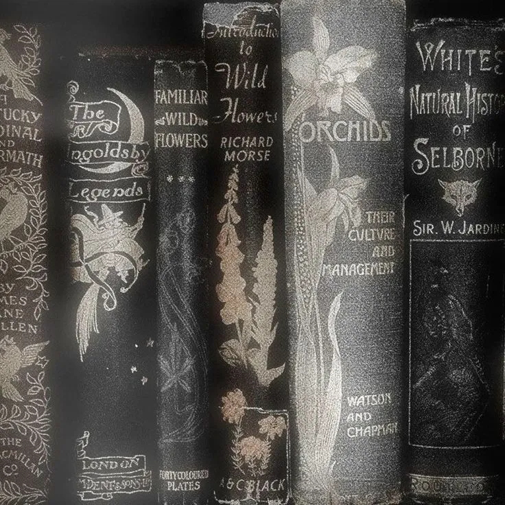 New Books ˚˖ ࣪