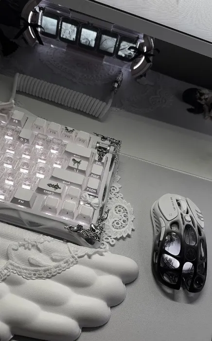 PC & Desk Accessories 