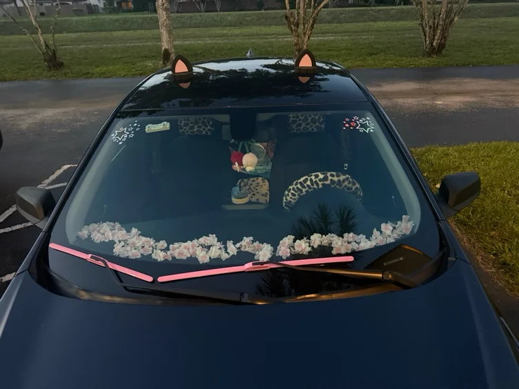 Car note (222)