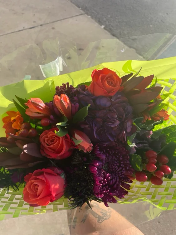 Roses of the Day