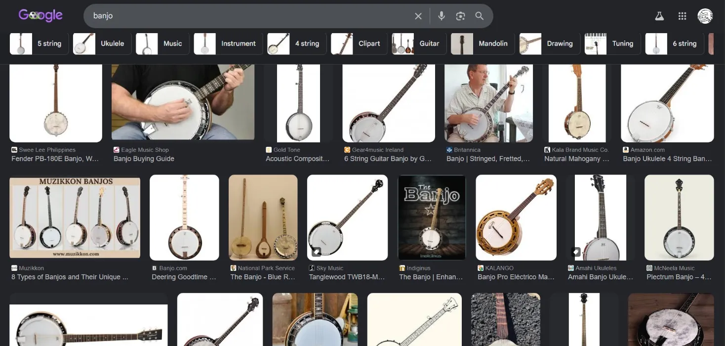 banjo instrument!!!!!!