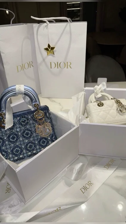 Dior bag 