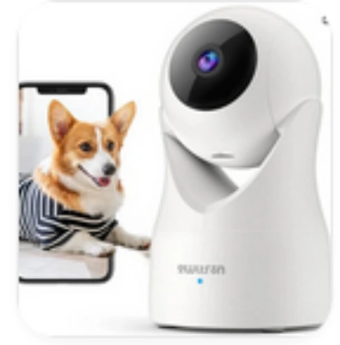  Owltron Indoor Camera (Mr Bark Cam #2) 