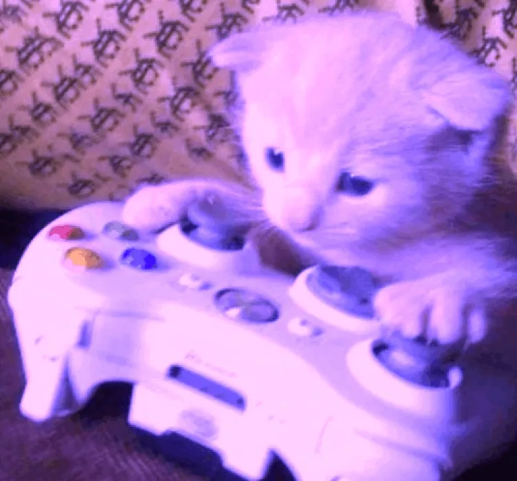 gaming fund