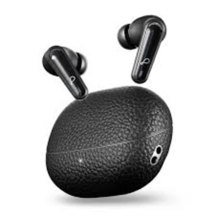 Earphones