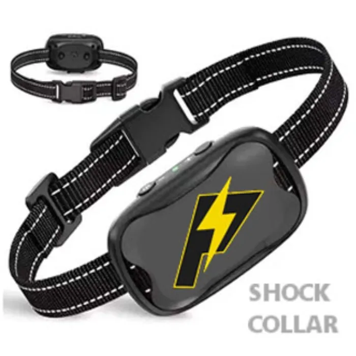 Shock Collar Pishock