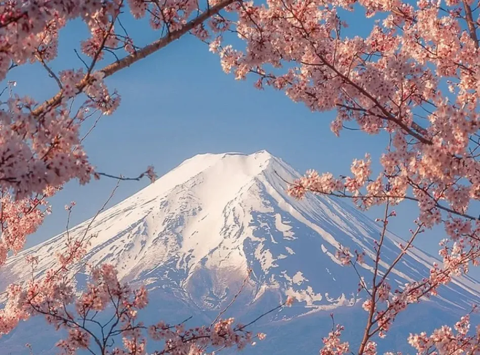 Japan Tip