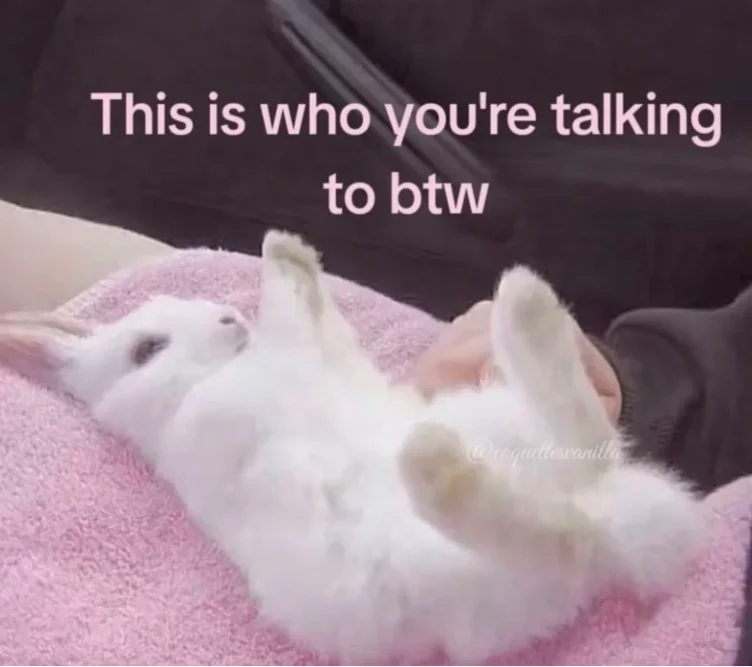 cuddly bunny 