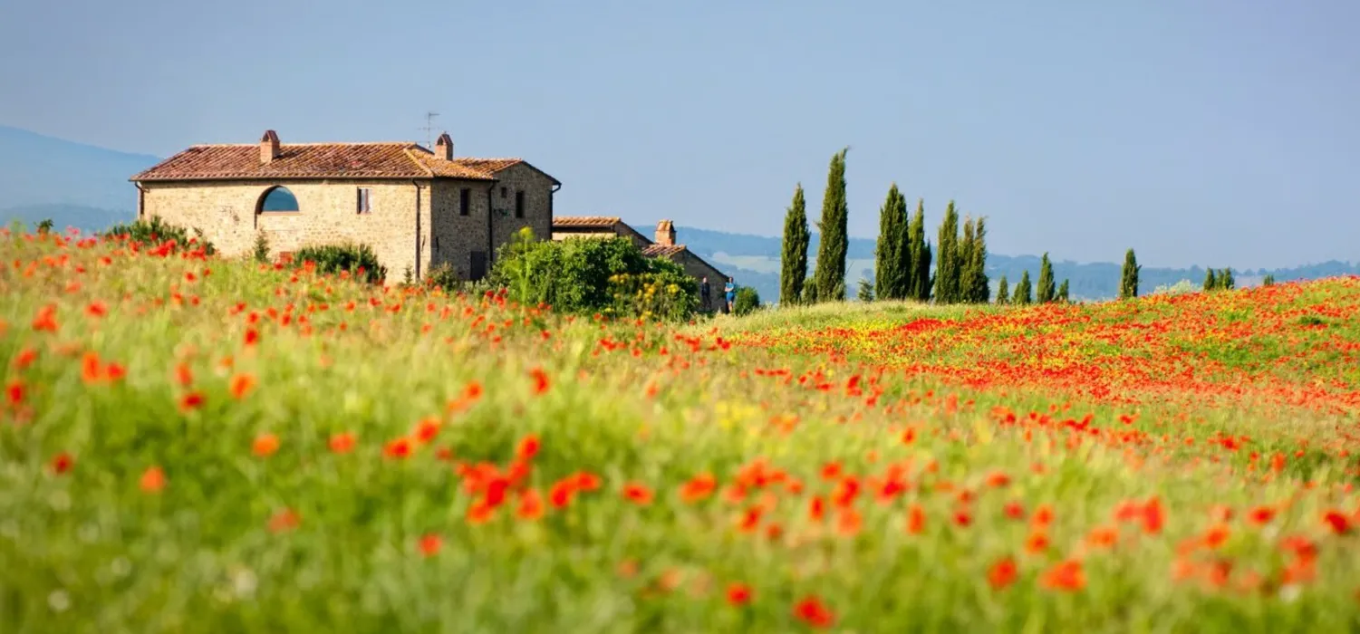 Vacation Rental (monthly)