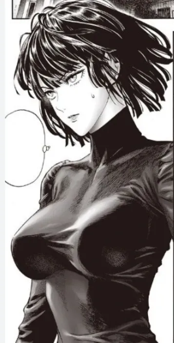 Fubuki Brasil vers.