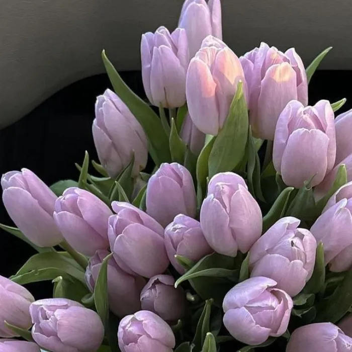 ♡ 25 ♡
