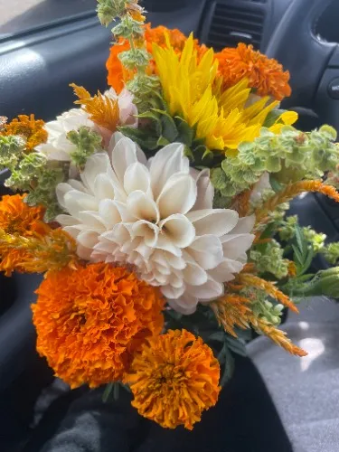 Flowers 𖡼.𖤣𖥧𖡼.𖤣𖥧