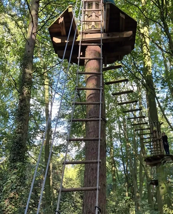 Aerial Walkway Challenge