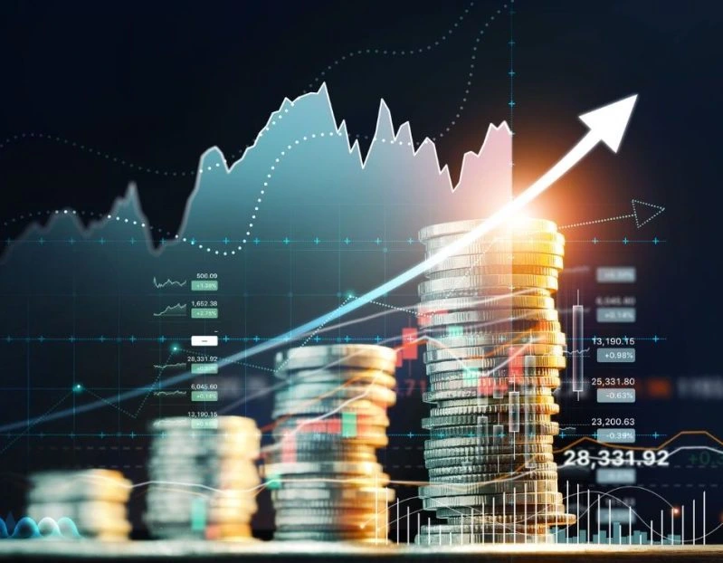 Investment Contribution