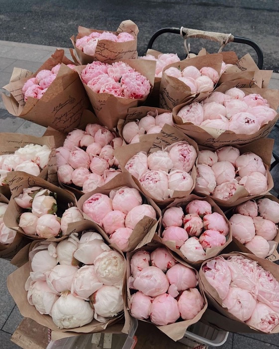 500 Flowers