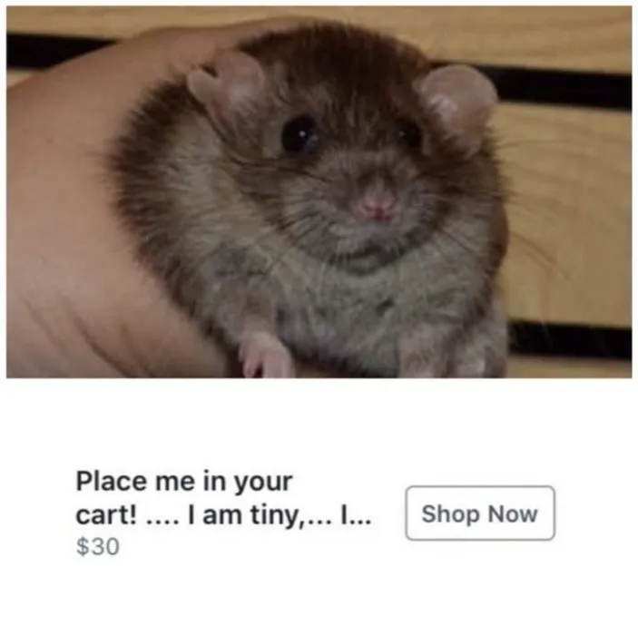 Place me in your cart 
