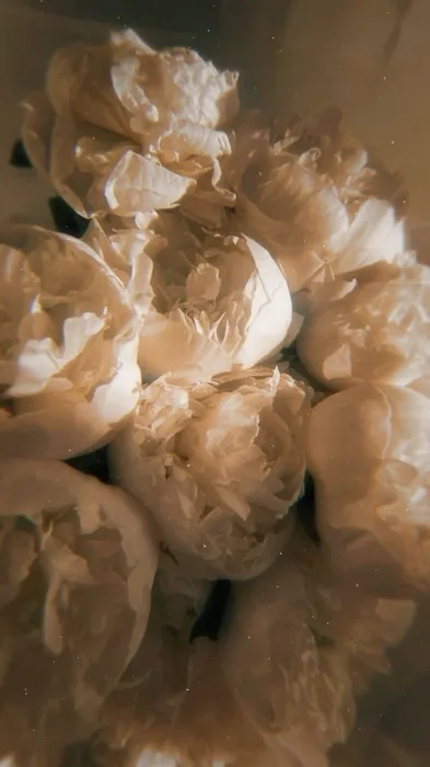 ♡ 𝑭𝒍𝒐𝒘𝒆𝒓𝒔