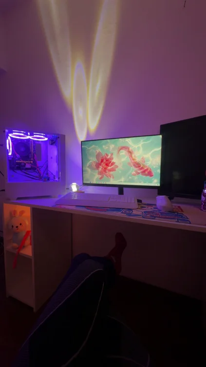 peripherals 🖥️
