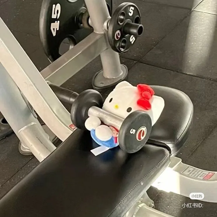 🏋 gym subscription 