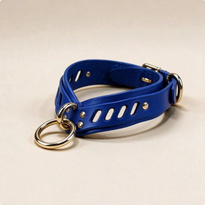Un nouveau collier pour mes apprentis