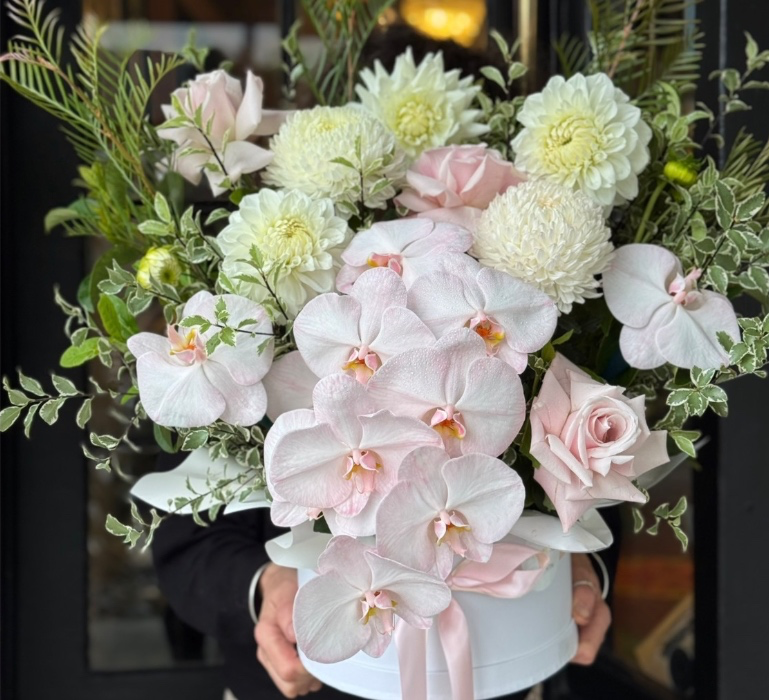 Orchid Arrangement