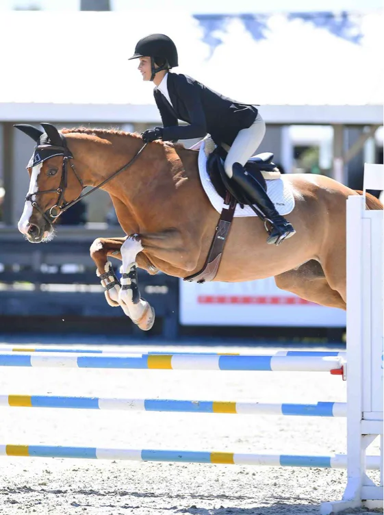 Horse riding lessons 