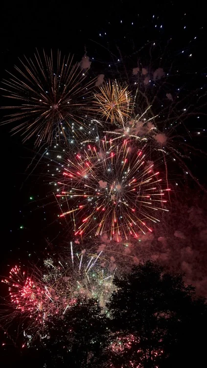 Happy New Year, Miss! Happy 2026! I love and adore you! 