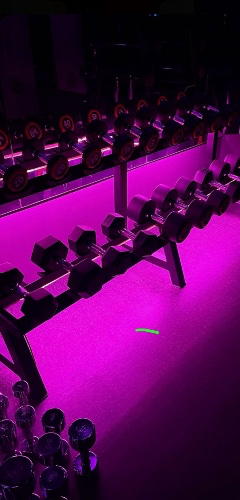 1 month gym membership 