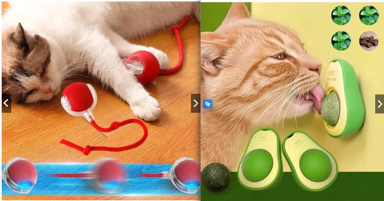 catnip avocado + automatic ball - for cattos