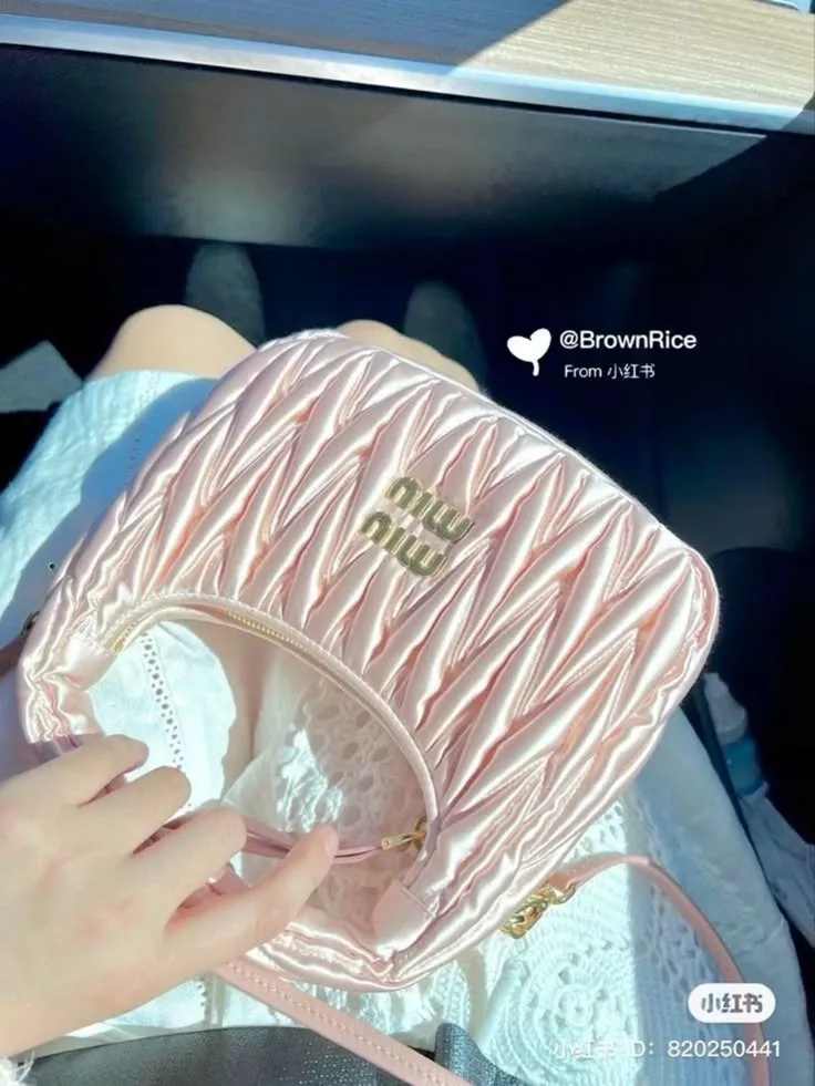🎀 miumiu bag 🎀
