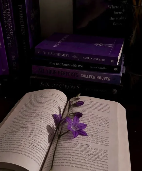 New book 📖 ✨️ 
