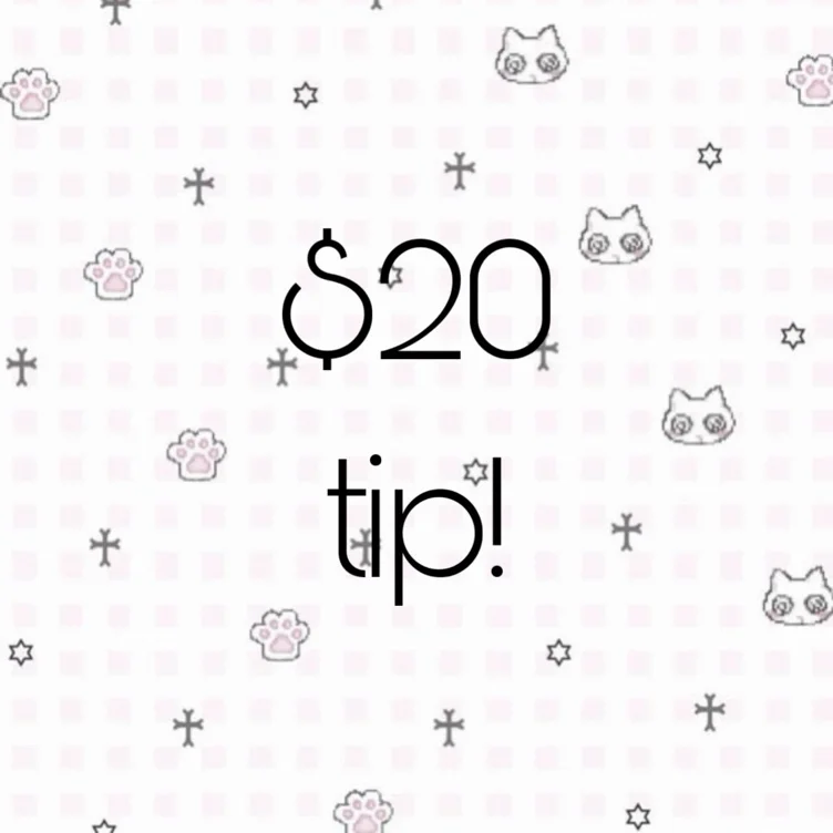 $20 tip