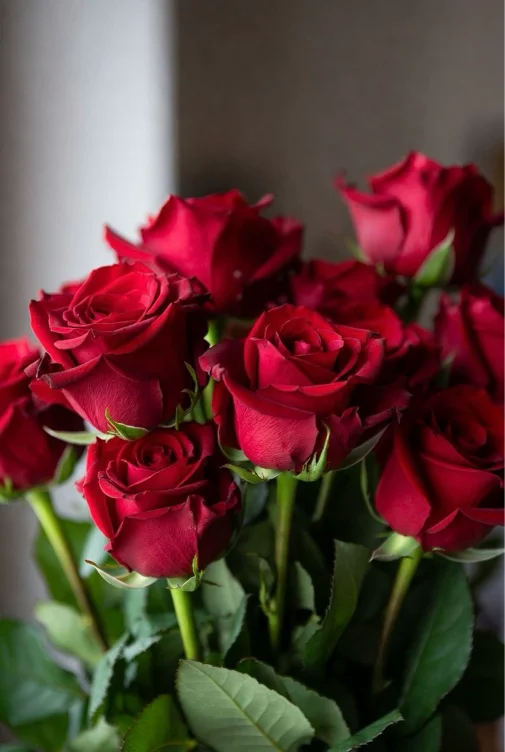 Just Because 🌹