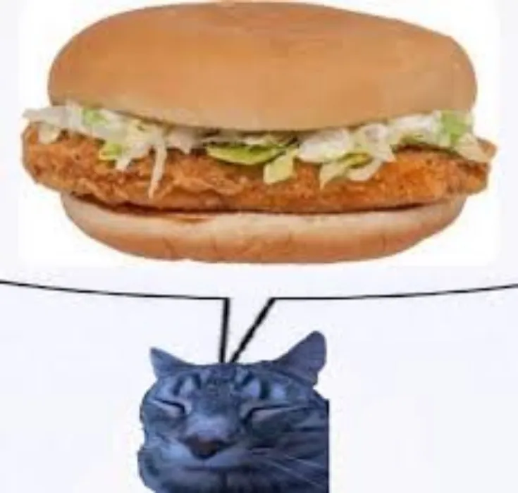 Mc chicken :3