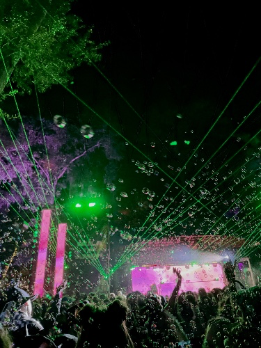 Festival Ticket ✨🪬