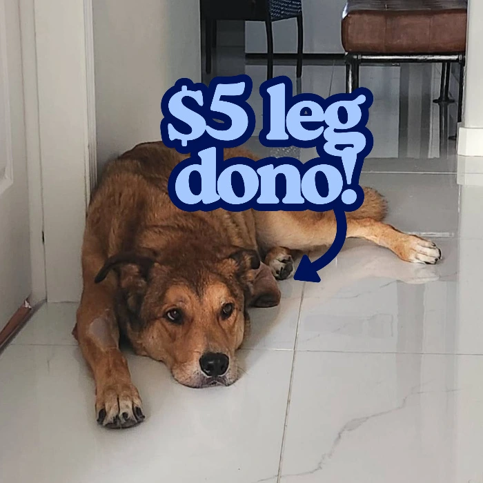$5 prosthetic dono!