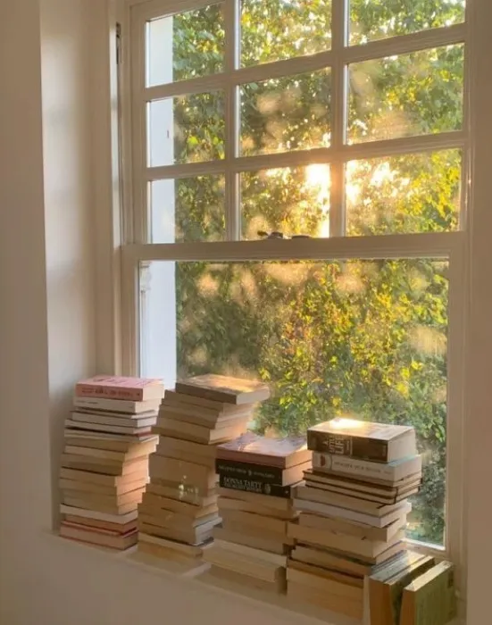 Buy me a new book <3