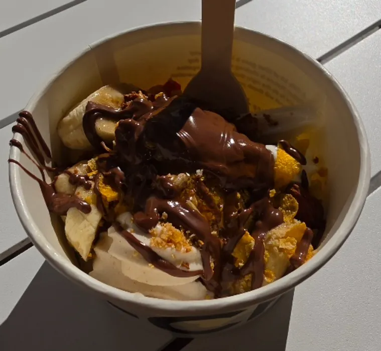 Frozen Yogurt 