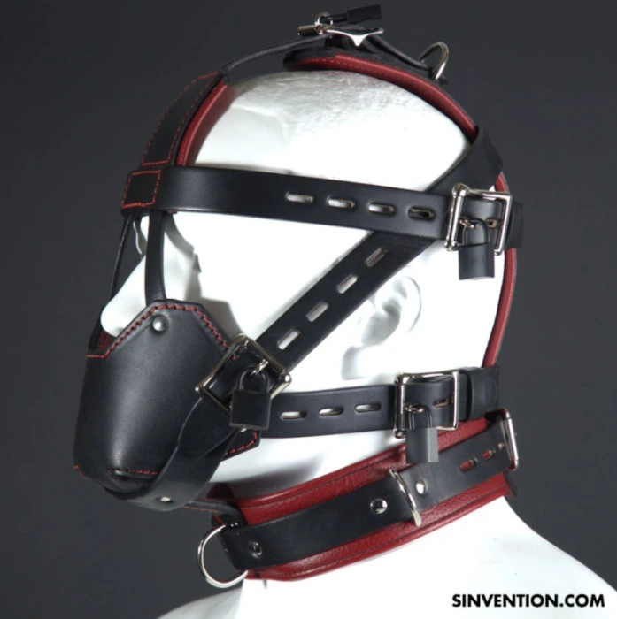 Padded Muzzle and Collar