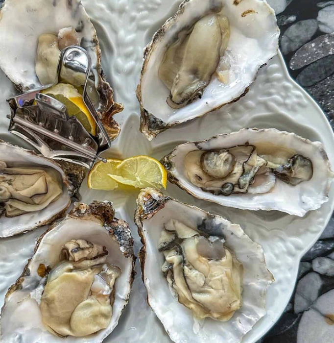 Treat me for oysters 