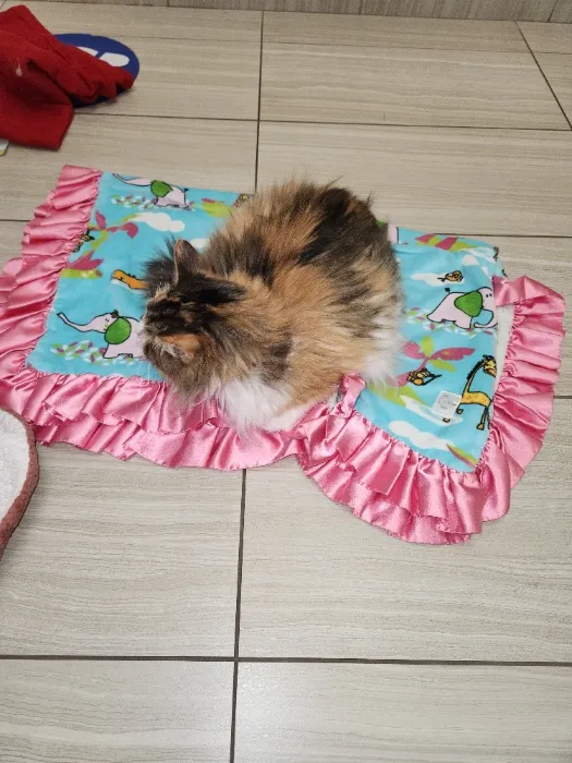 Freya's anemia diagnostics