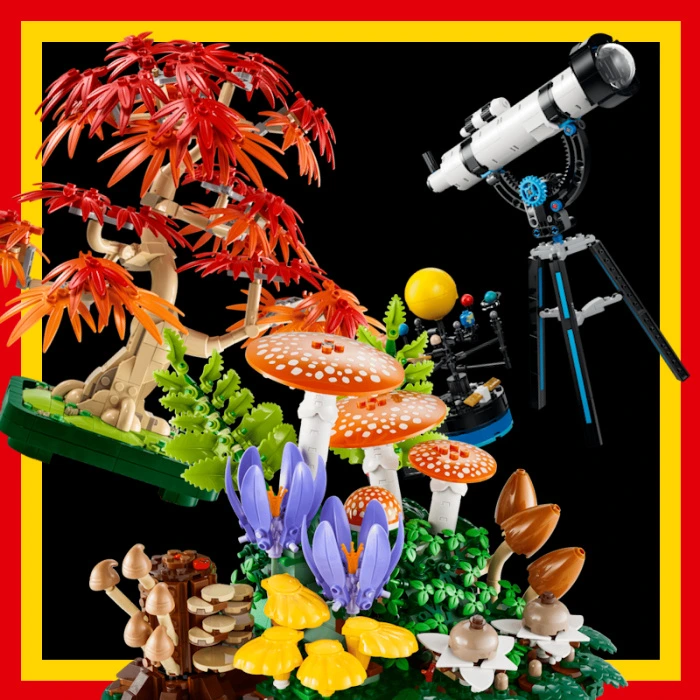 Official LEGO Sets