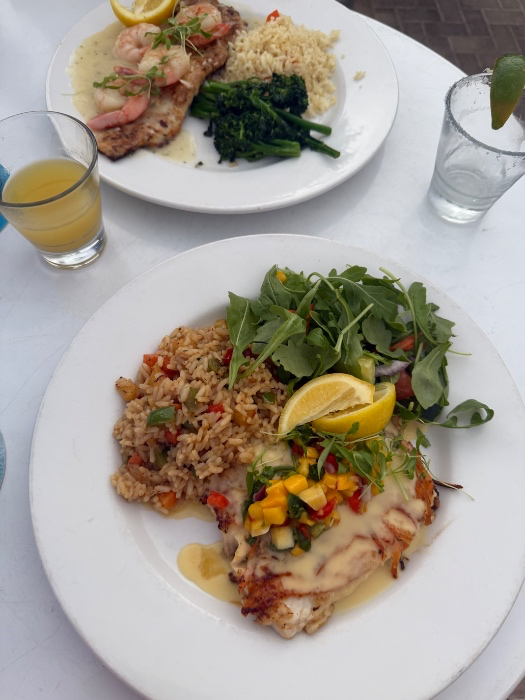 $100 dinner