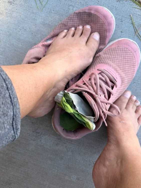 Rehoming Used Sneakers