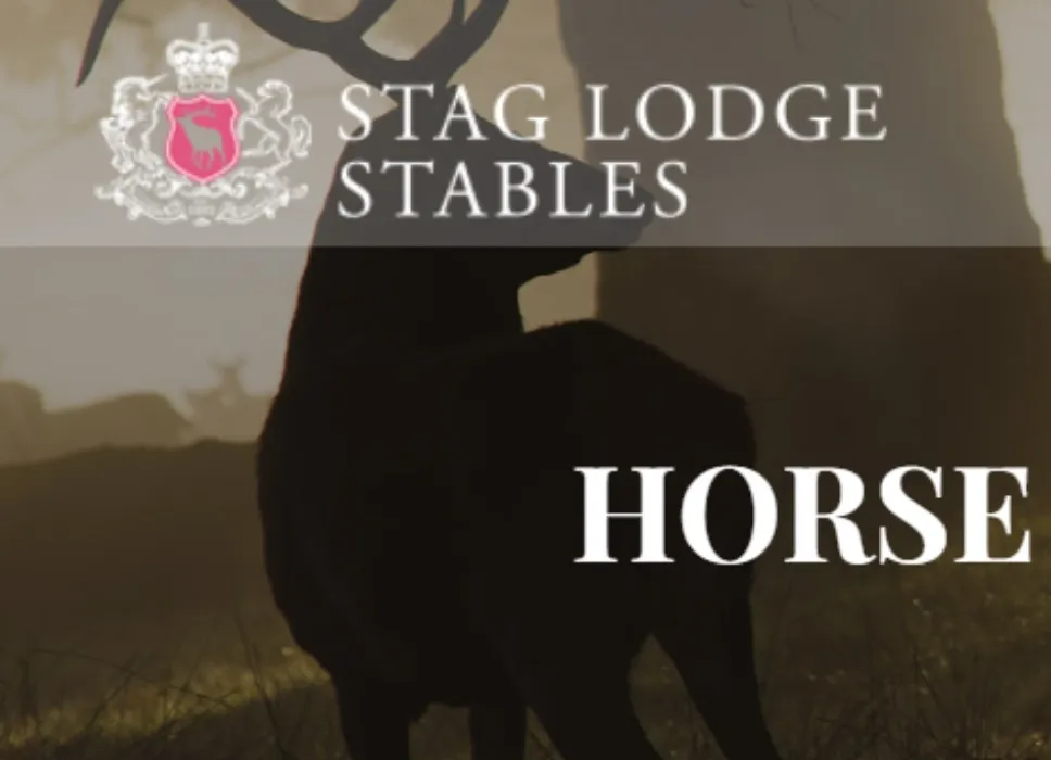 2hrs Horse Riding Stag Lodge